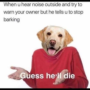 Meet your Posher, Tj